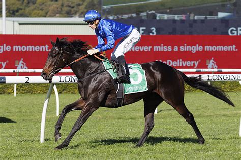 kanazawa horse racing results|Latest Kanazawa Horse Racing Results .